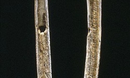 Nhạc cụ lâu đời nhất hơn 40.000 năm