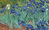 Bí ẩn quanh các bức Hoa Diên Vĩ (Irises), lẫy lừng của Van Gogh.
