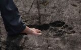 Những phát hiện bị che giấu về lịch sử cổ đại (P1): Các dấu chân khổng lồ