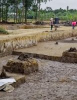 Phát hiện bãi cọc nhà Trần gần nghìn năm tuổi